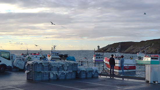 port de pêche conquet avec filet de pêche