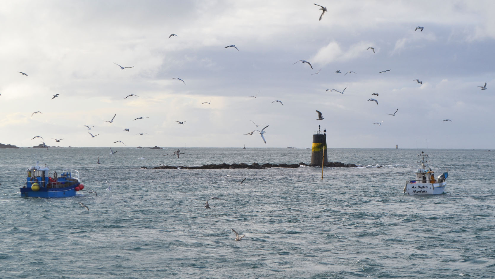 cote bretonne